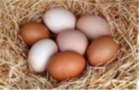 Picture for category Eggs